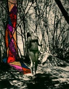 Image of Portal 19 x 26