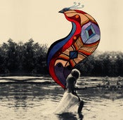 Image of Bird of Paradise 19 x 26