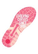 Image of Evolving curves since 1988