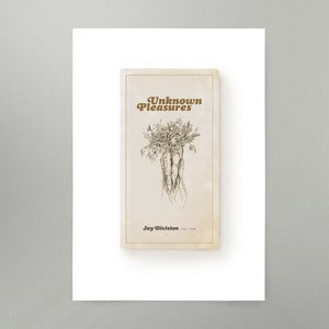 Image of Unknown Pleasures Art Print