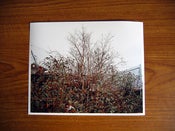 Image of Isn't Anywhere #14