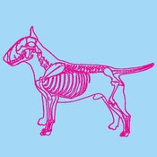 Image of SKELLY