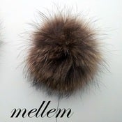 Image of VASKEBJØRN, natur - mellem