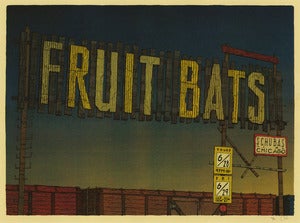 Image of Fruit Bats