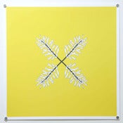 Image of Bromeliad (Yellow/Charcoal)