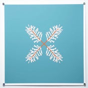 Image of Bromeliad (Mint/Tangerine)