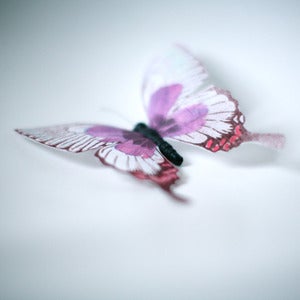 Image of Carte Postale "Papillon"