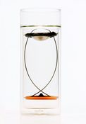 Image of JOEfish