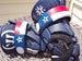 Image of StickStar Mittens (TEXAS)