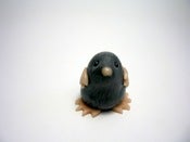 Image of Wee Mole