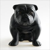 Image of Bulldog / 1950s