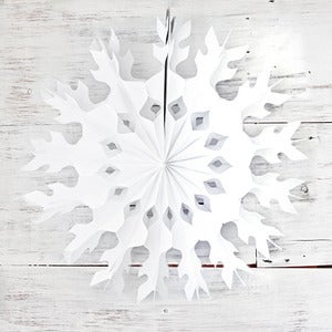 Image of Snowflake Tissue Fans