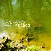 Image of DAVE KANE - The Eye of the Duck