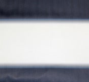 Image of Blur/ indigo
