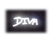 Image of The Diva Signature Pin