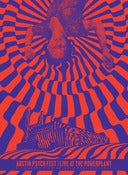 Image of Austin Psych Fest: Live At The Power Plant DVD 