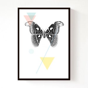 Image of Moth Geo (A4)