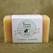 Image of Citrus Ginger 