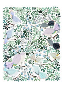 Image of Forest Cuckoo -print