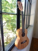 Image of Kala Light Mahogany Slothead Tenor