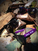 Image of Black Altar Sunglasses. 