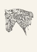 Image of Horse Head