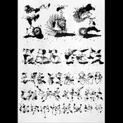 Image of Eyechart 1