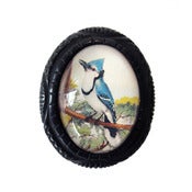 Image of Blue Jay Carved Resin Brooch by Hotcakes Design