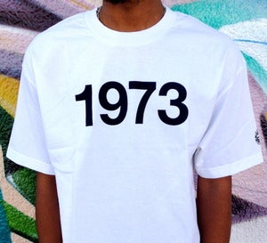 Image of 1973 BIRTH OF HIP-HOP
