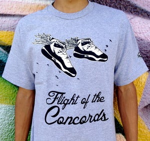 Image of FLIGHT OF THE CONCORDS 