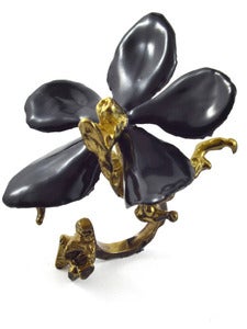 Image of Epiphyte Ring Ebony/Brass