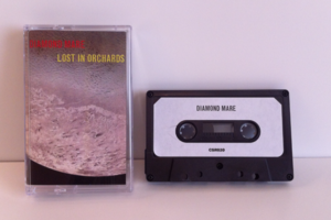 Image of Diamond Mare - Lost In Orchards