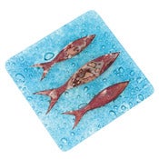 Image of Cornish Pilchard Coasters