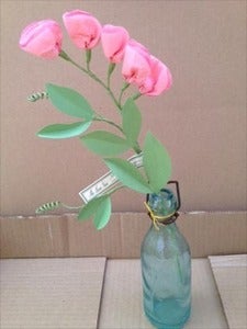 Image of Sweet Pea