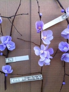 Image of Blossoming Quince Branches