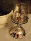 Image of Mercury Glass Cloche