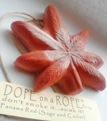 Image of Panama Red