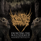Image of [SOLDOUT] Excreting The Malformed - EP 2012