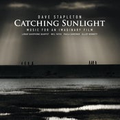 Image of DAVE STAPLETON - Catching Sunlight
