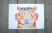 Image of Jungle Head A3