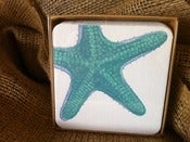 Image of Coasters: Starfish