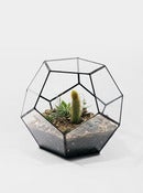 Image of Table Dodecahedron