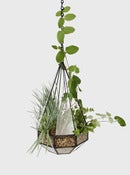 Image of Suspended Teardrop