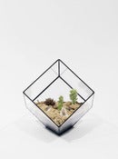 Image of Small Cube