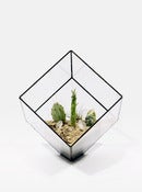 Image of Large Cube