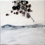 Image of Dive