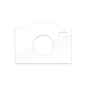Image of Camera Decal