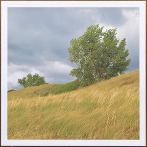 Image of Dunes art print
