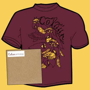 Image of Colour - Anthology LP and t-shirt