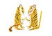 Image of Two Tigers